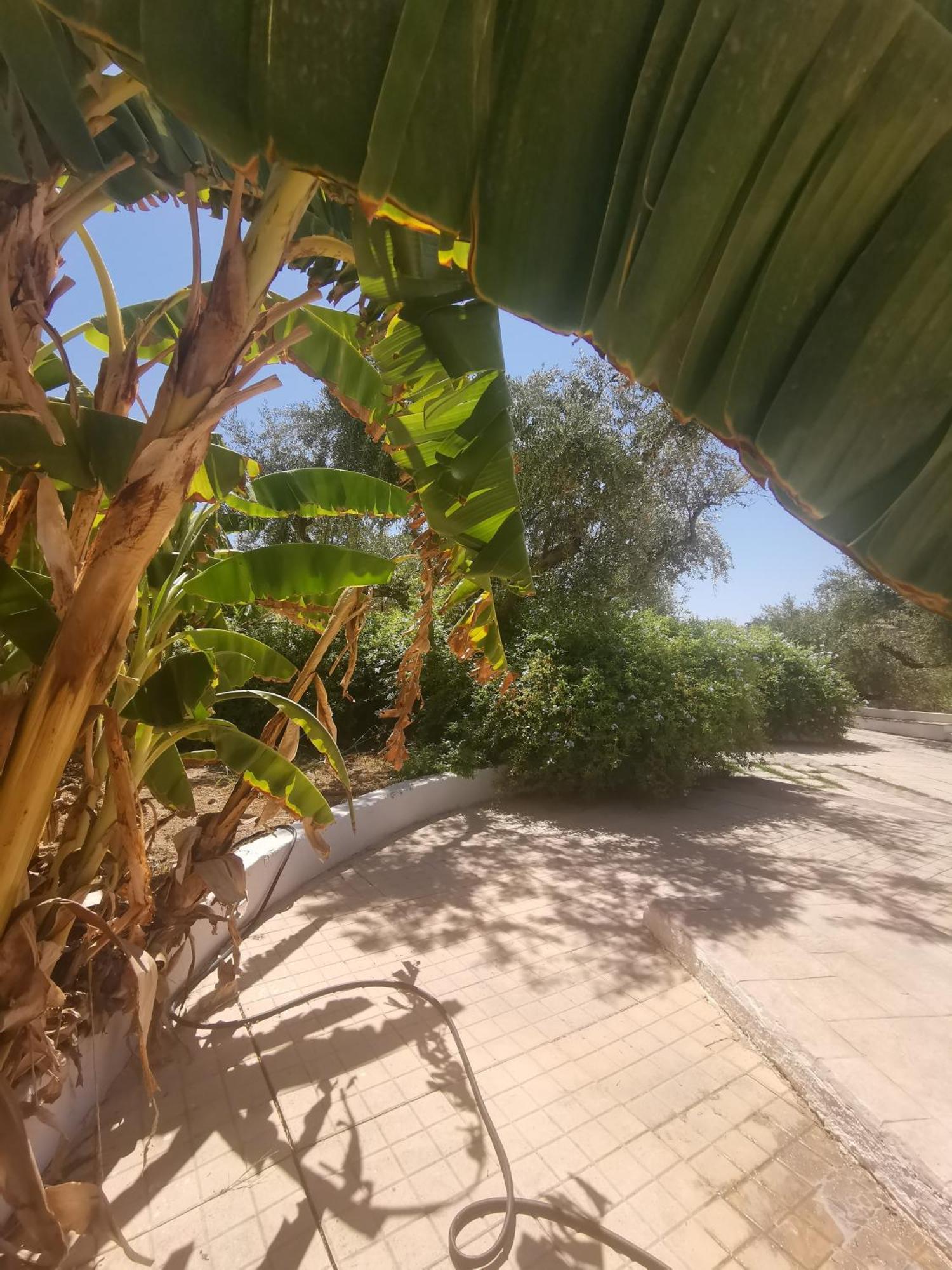 Lofos Strani Hotel Zakynthos Town Exterior photo